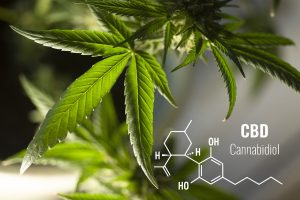 Co to jest CBD?