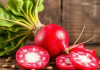 Rzodkiewka – właściwości, wartości odżywcze i zdrowotne korzyści